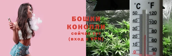 мяу мяу кристалл Богданович