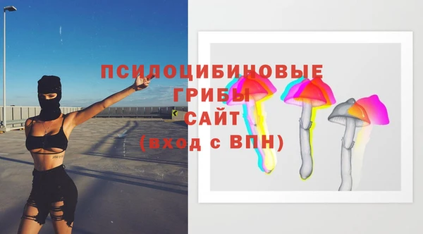 a pvp Богородицк