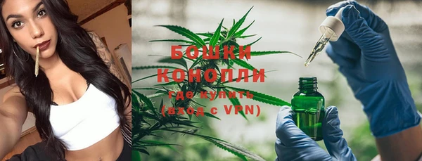 мяу мяу кристалл Богданович
