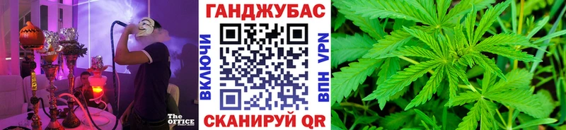Каннабис сатива  Северск 